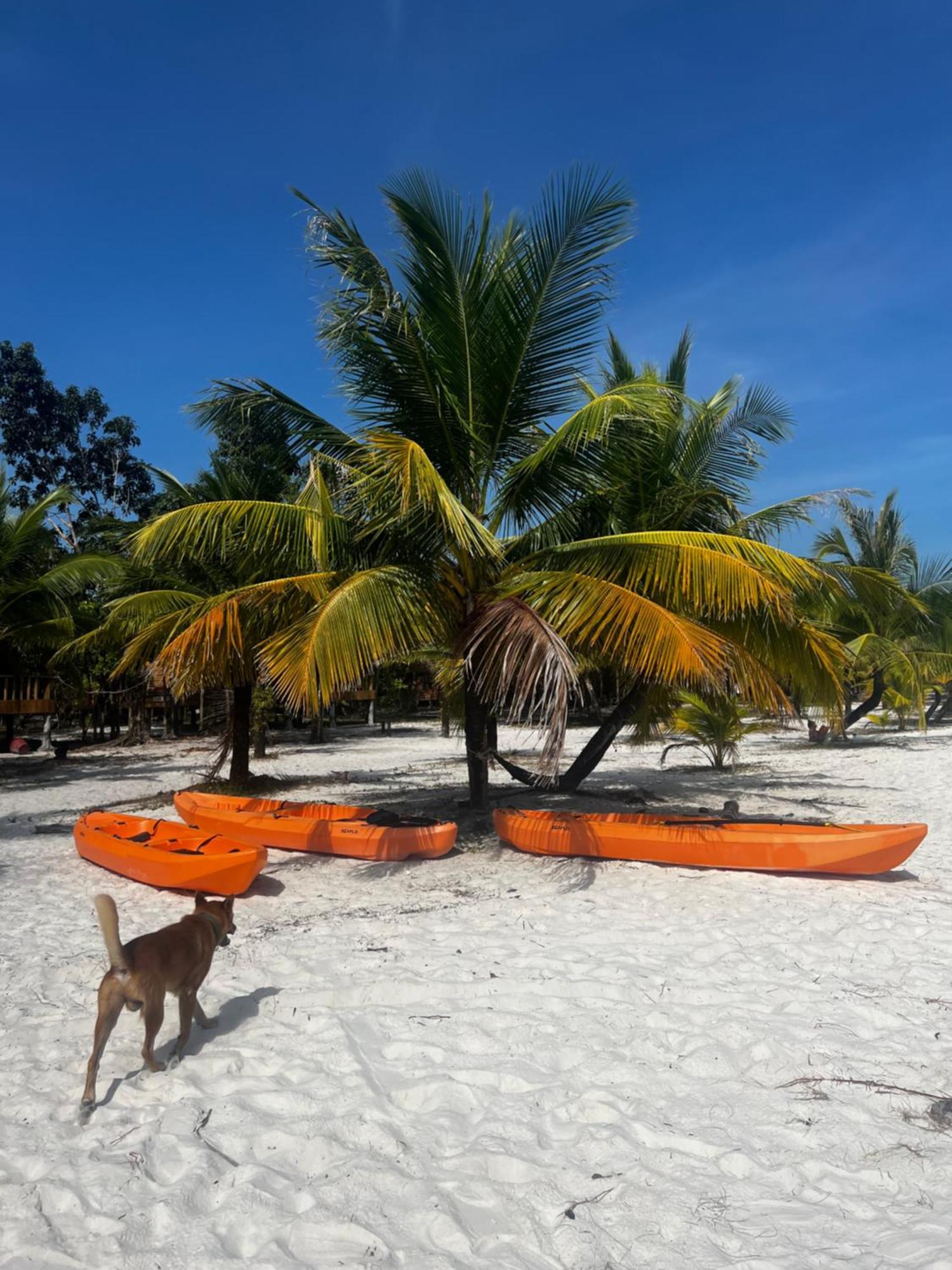 Rafikis Hostel Pulau Koh Rong Luaran gambar